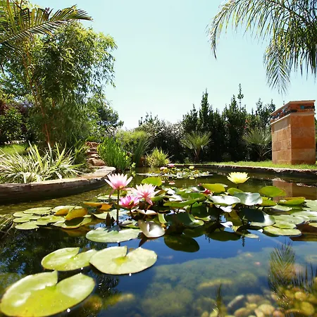 Hera Hotel Cirali