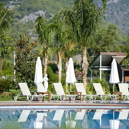 Hera & 3* Çıralı